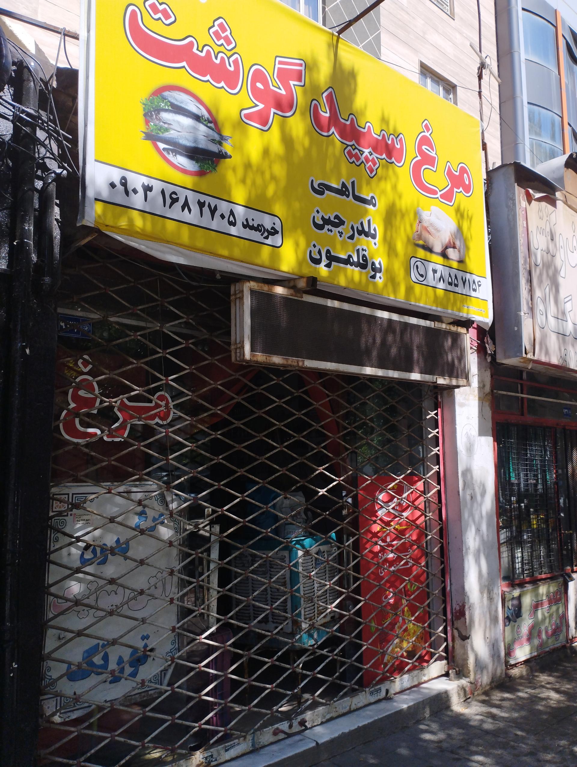 عکس مرغ سپید گوشت