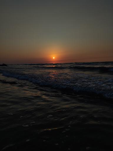 عکس ساحل دلفین