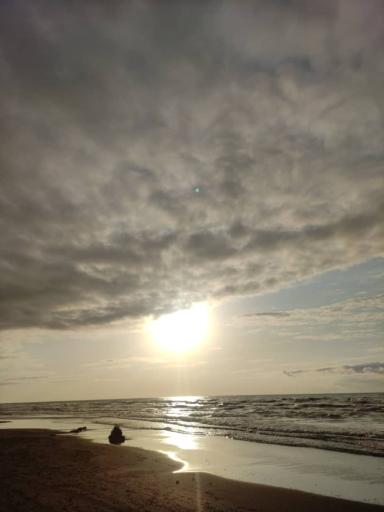 عکس ساحل سرخرود