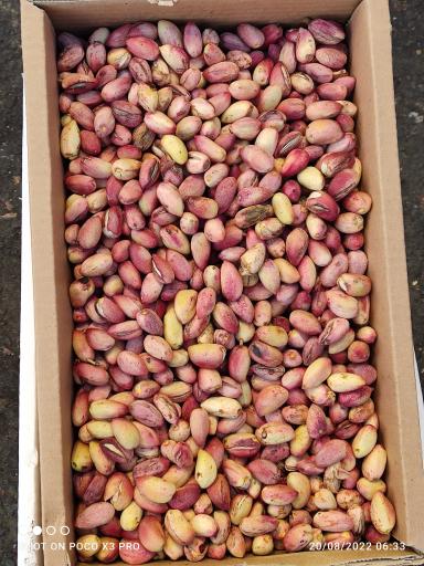 میوه چهار فصل باقری