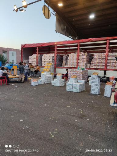 عکس میوه چهار فصل باقری