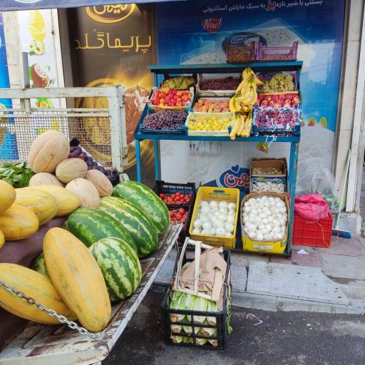 عکس میوه چهار فصل باقری