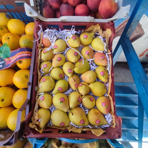 میوه چهار فصل باقری