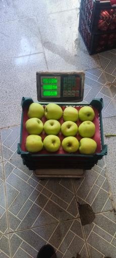 عکس میوه چهار فصل باقری