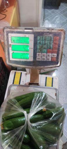 میوه چهار فصل باقری