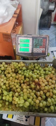 عکس میوه چهار فصل باقری