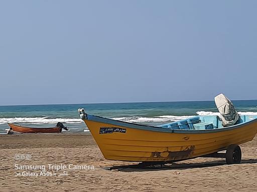 عکس ساحل دلفین