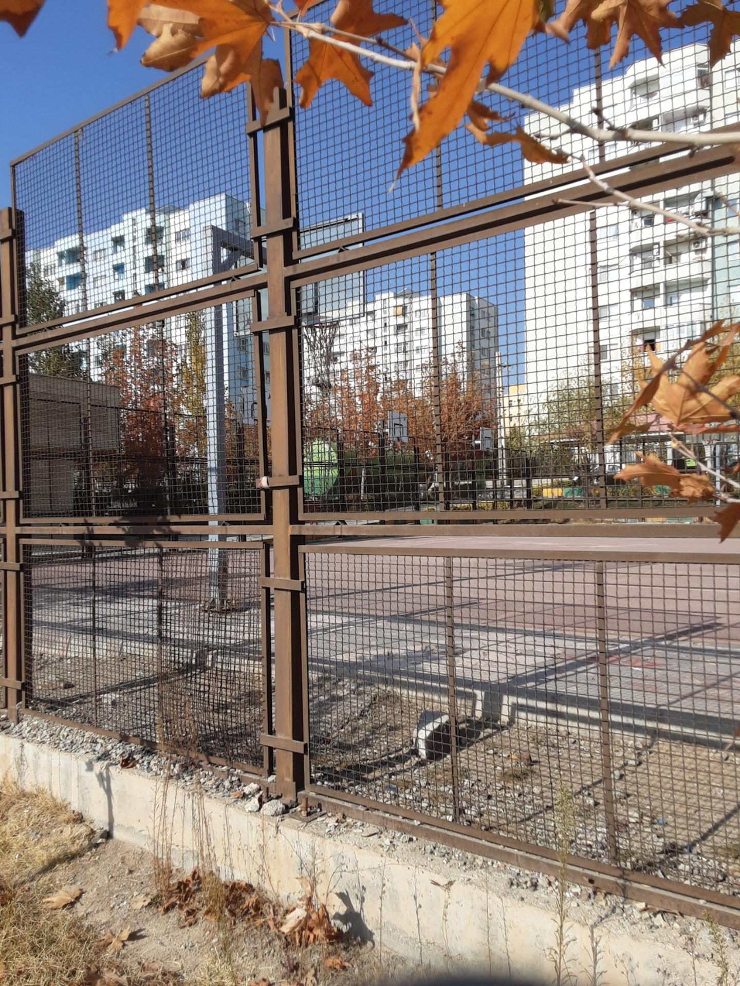 عکس زمین بسکتبال ولایت