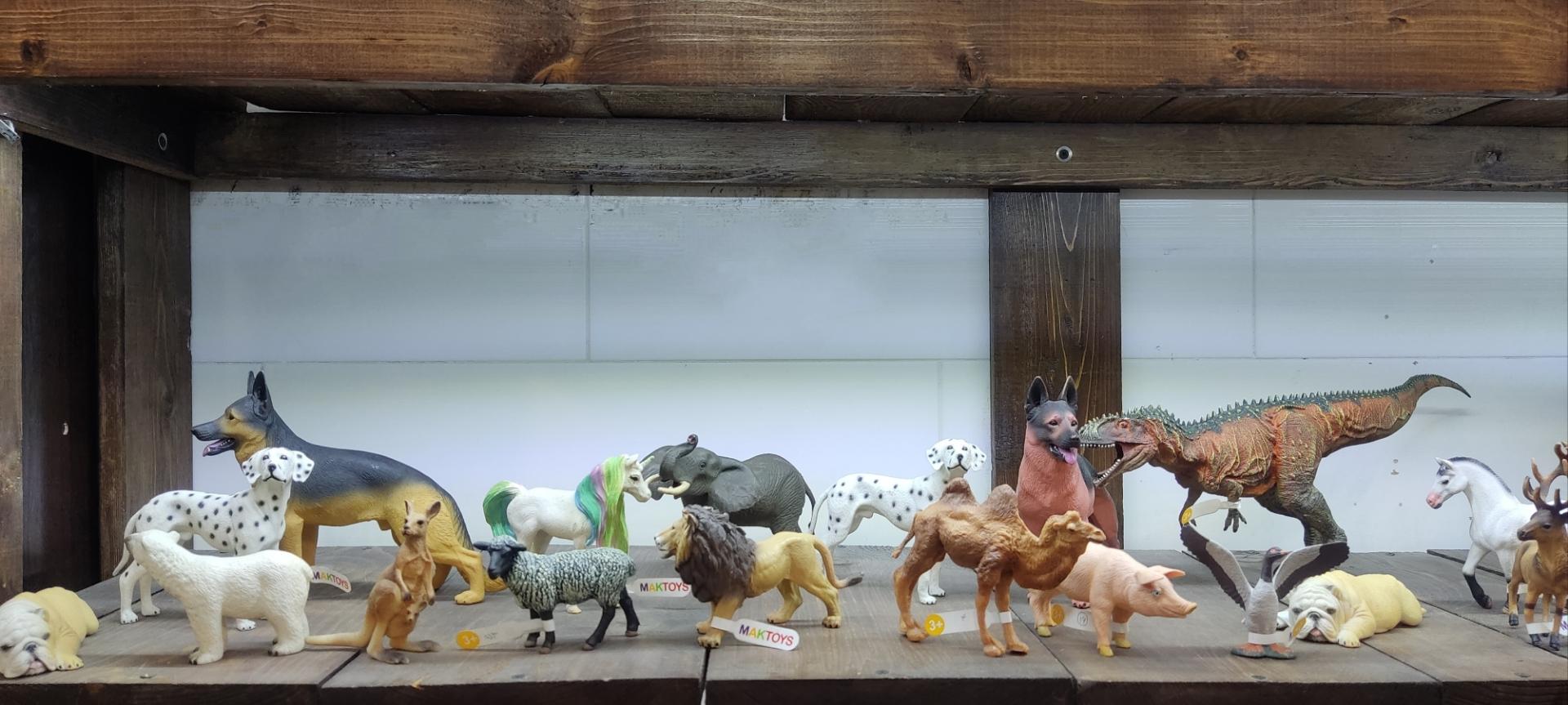 عکس باغ کتاب و بازی فکری باماکو 