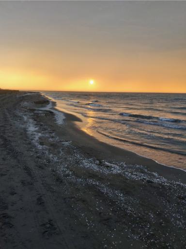 عکس ساحل سرخرود