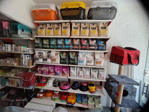 عکس پت شاپ پایتخت