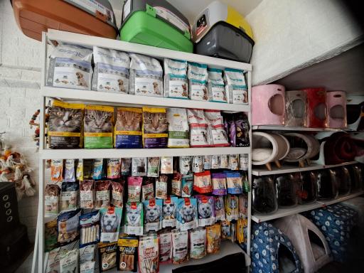 عکس پت شاپ پایتخت