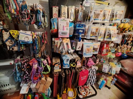 عکس پت شاپ پایتخت