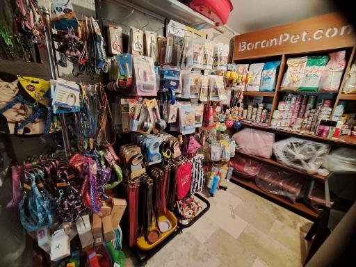 عکس پت شاپ پایتخت