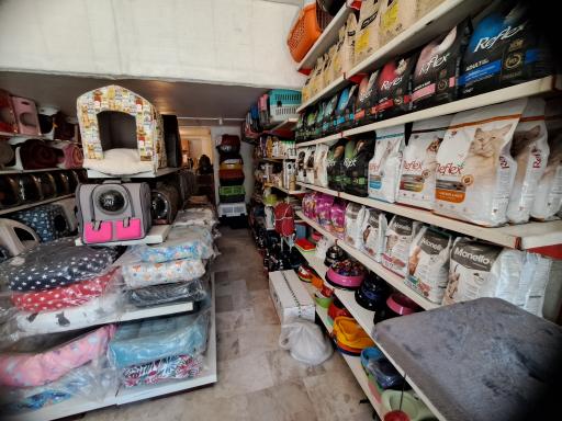 عکس پت شاپ پایتخت