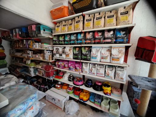 عکس پت شاپ پایتخت