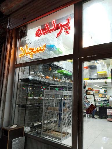 عکس پرنده سرای سجاد