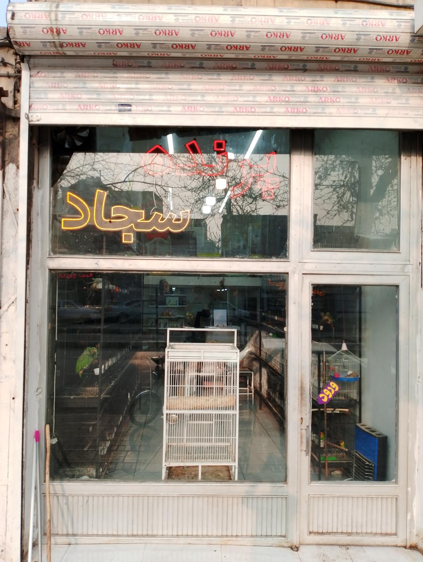 عکس پرنده سرای سجاد