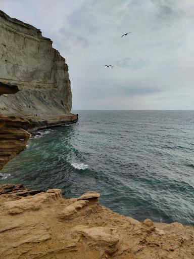 عکس بوستان ساحلی بندر پزم