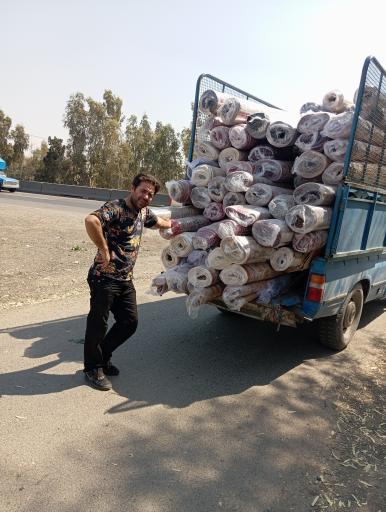 قالیشویی امیران