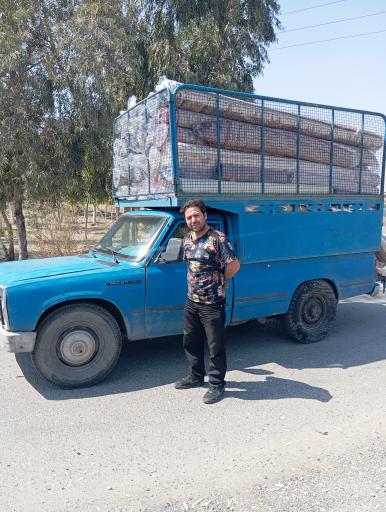 عکس قالیشویی امیران