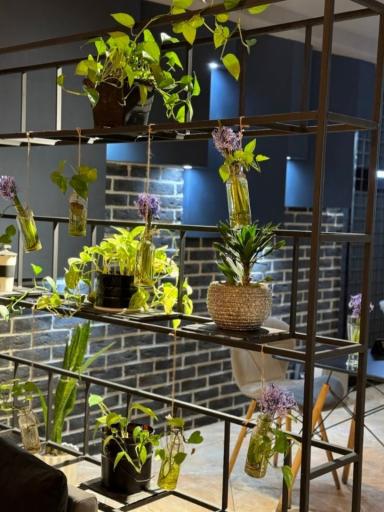 عکس کافه نورث