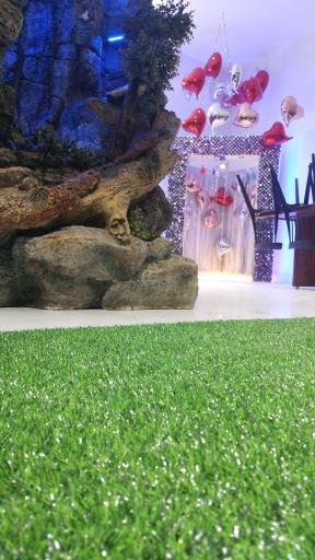 عکس کافه پایتخت