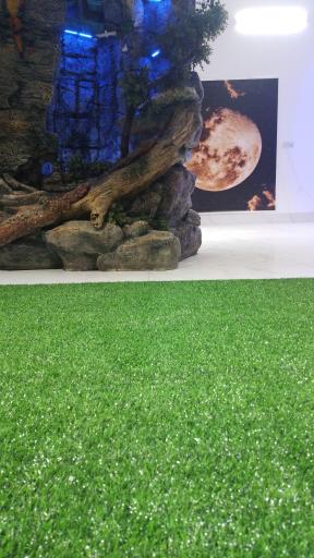 عکس کافه پایتخت