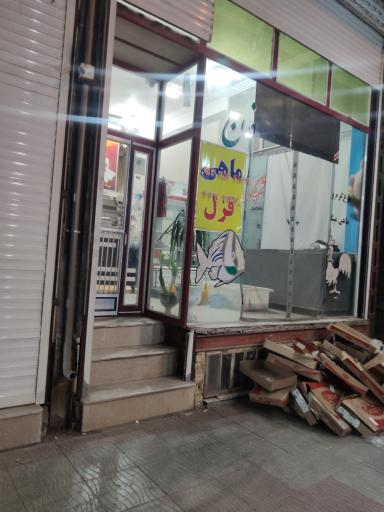 عکس مرغ و ماهی زیتون