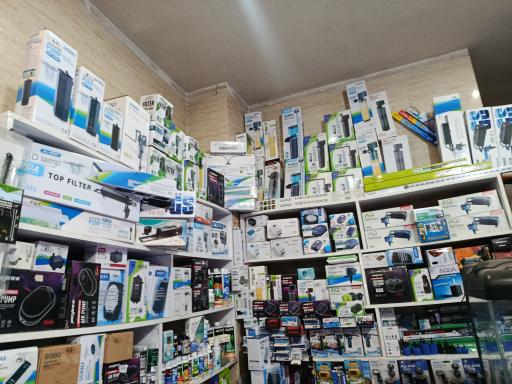 عکس آکواریوم جزیره رشت 
