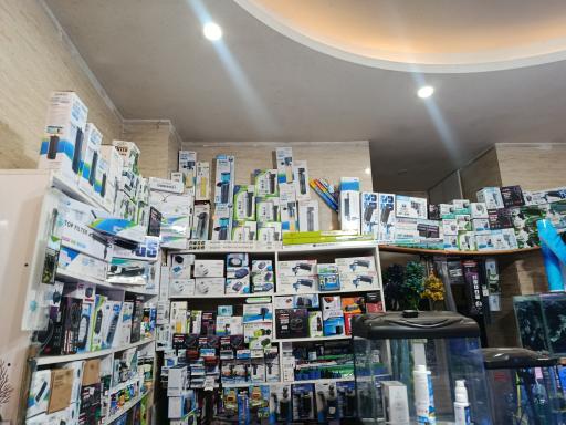 عکس آکواریوم جزیره رشت 