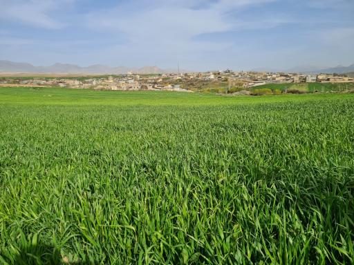 عکس سورنی پائین