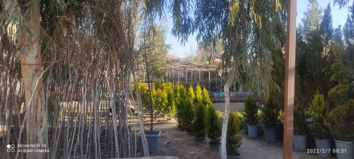 عکس گلخانه باغ فدک کاشان
