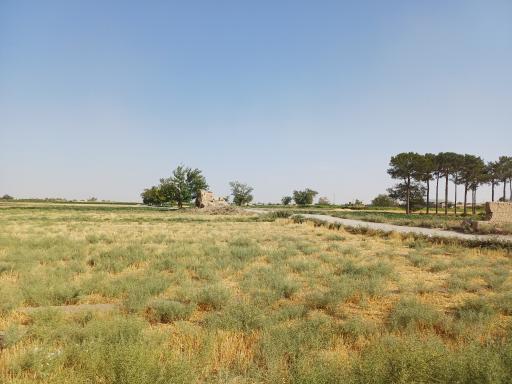 عکس صحرای دستجردوک