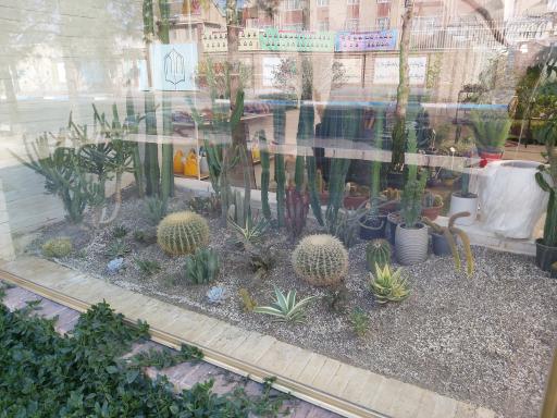 عکس گلخانه شانار