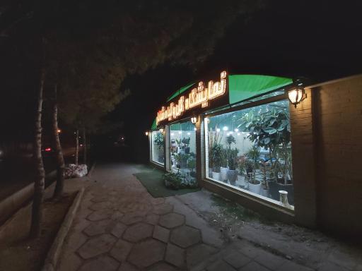 عکس گلخانه شانار