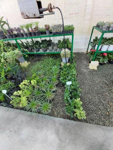 عکس گلخانه شانار