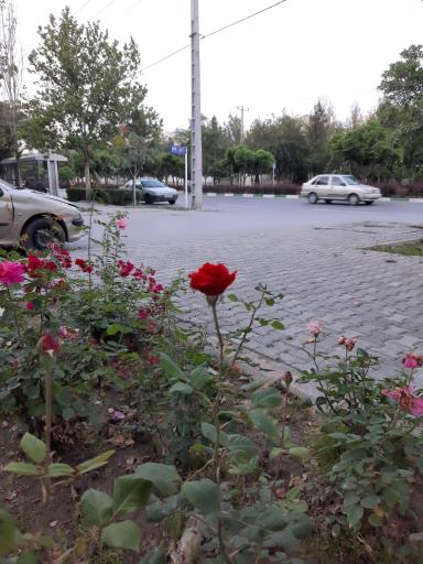 عکس چهارراه رستگاری