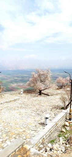 عکس آرامگاه اویس قرنی