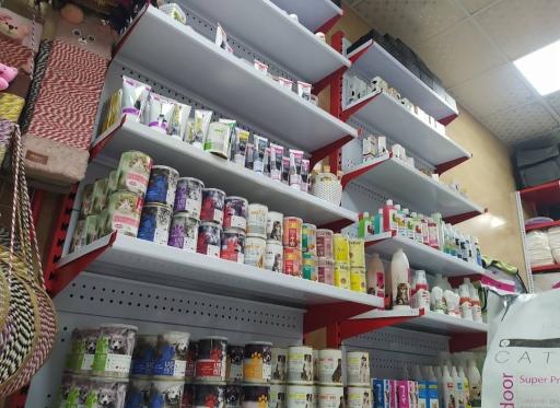 عکس پت شاپ دامون