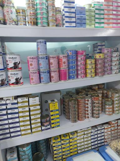 عکس پت شاپ اکسین