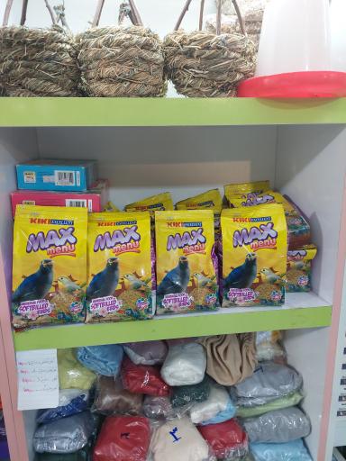 عکس پت شاپ اکسین