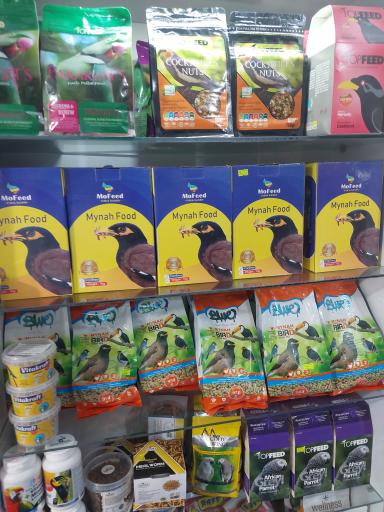 عکس پت شاپ اکسین