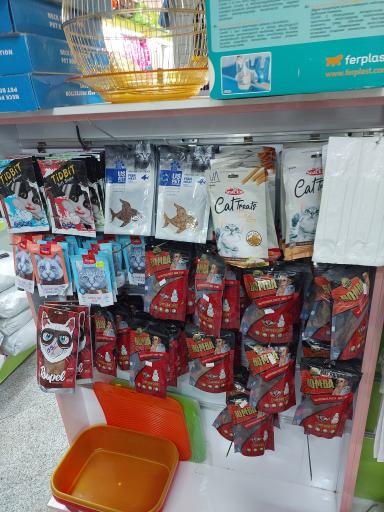 عکس پت شاپ اکسین