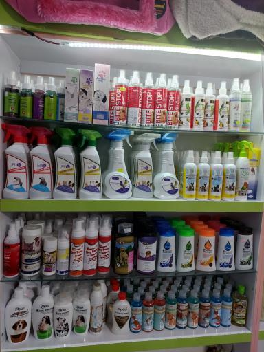 عکس پت شاپ اکسین