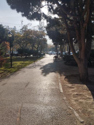 عکس بوستان یاس