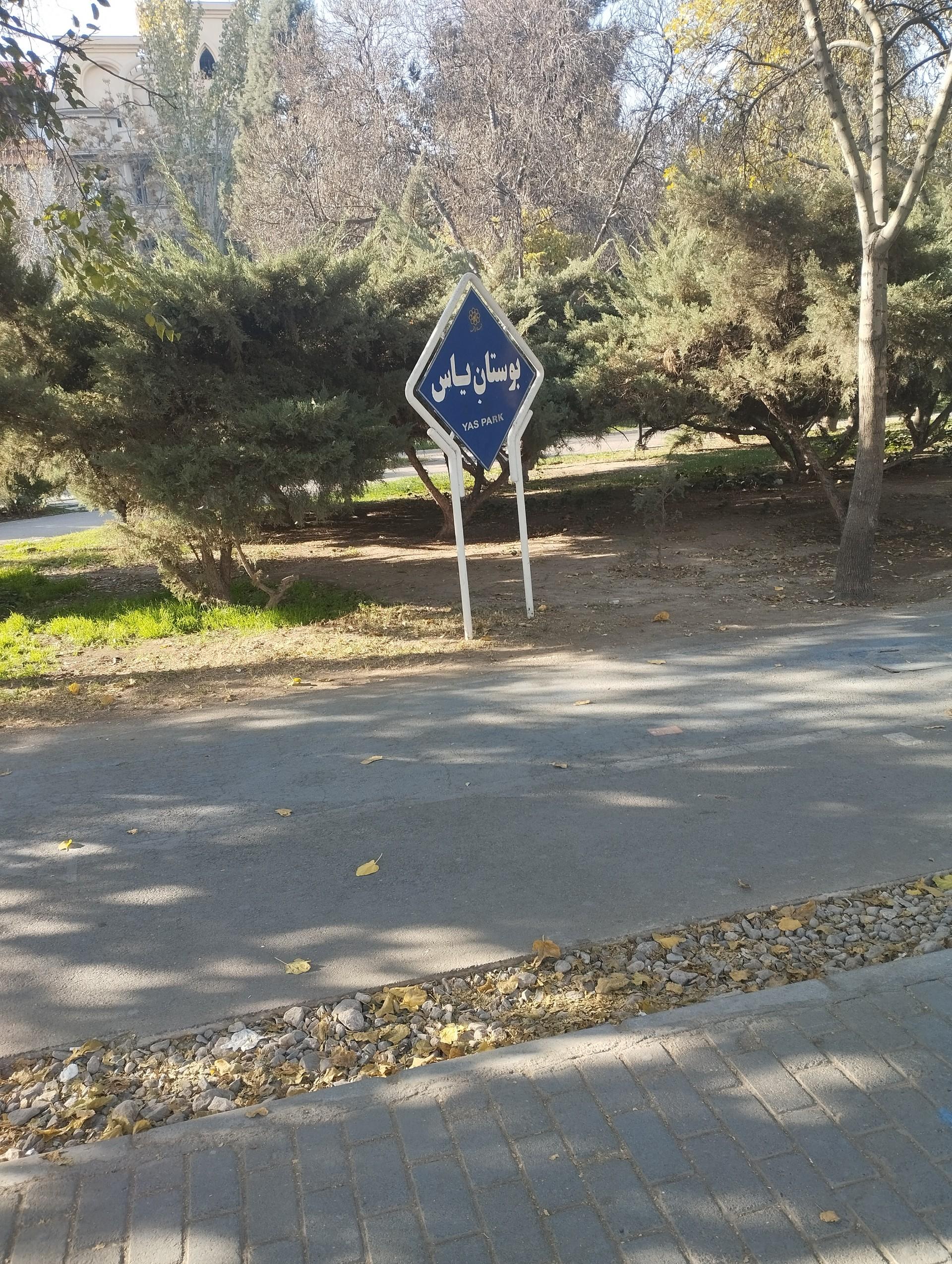 عکس بوستان یاس