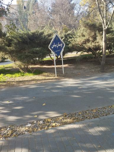 عکس بوستان یاس