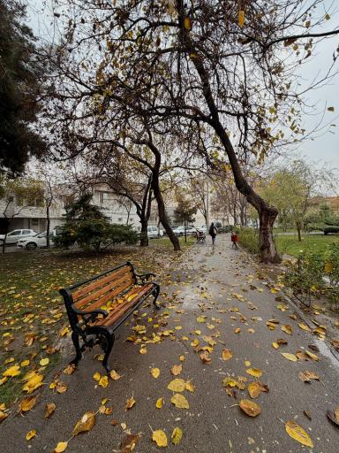 عکس بوستان یاس