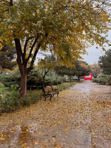 عکس بوستان یاس